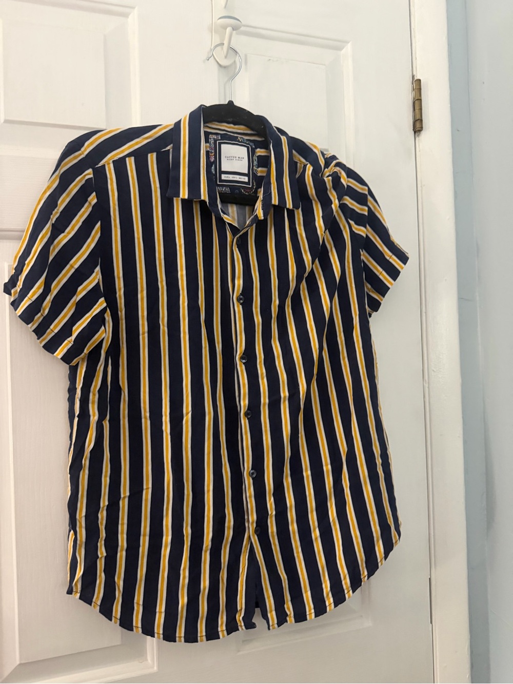 Cactus Man Ricky Singh Men’s Large Striped Rayon Button Down Shirt